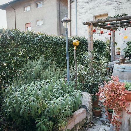 B&B Pedelmont Mezzocorona Esterno foto